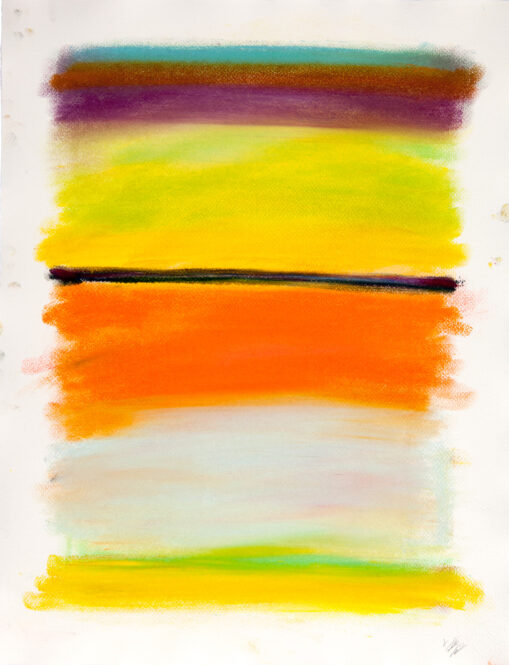 Pastel on paper 65 x 50 cm